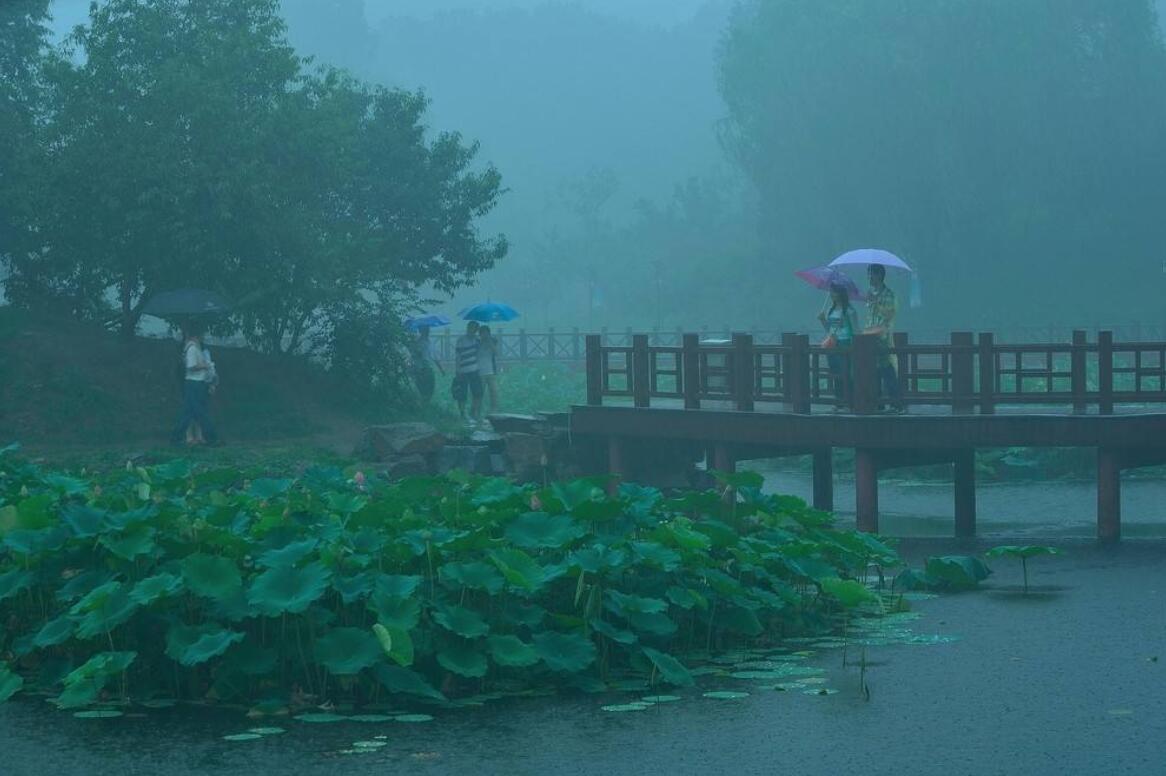 下雨即景.jpg