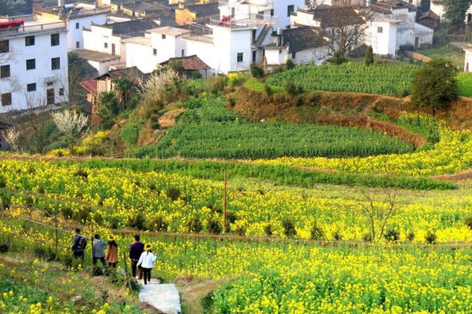 乡村风景.jpg