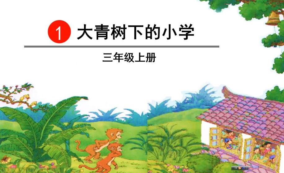 大青树下的小学.jpg