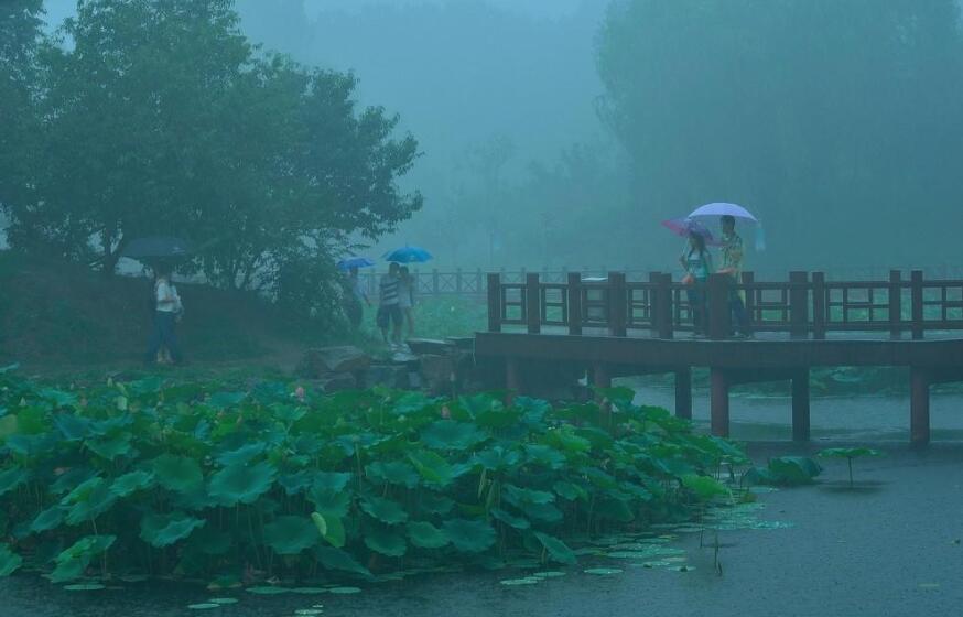 雨中即景.jpg