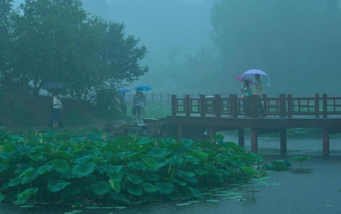 雨中即景.jpg