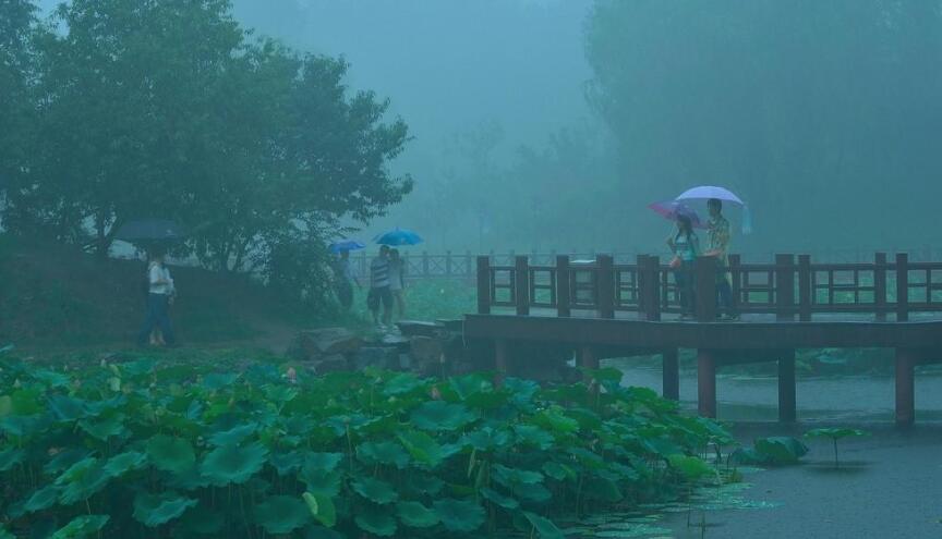 雨中即景.jpg