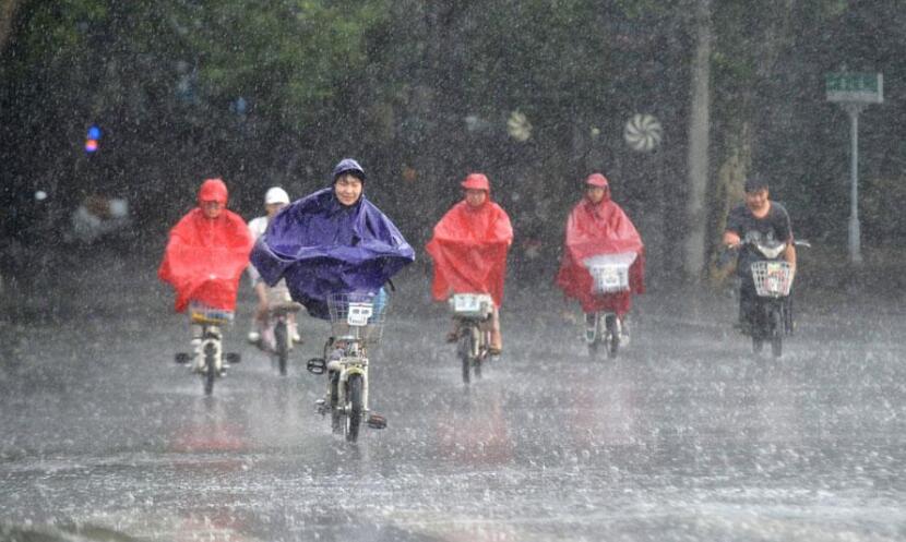 观暴雨.jpg