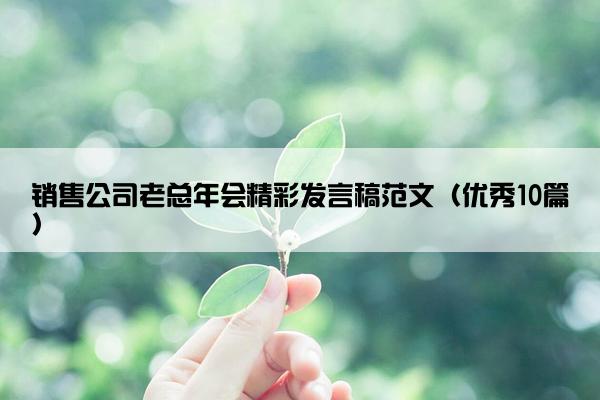 销售公司老总年会精彩发言稿范文（优秀10篇）