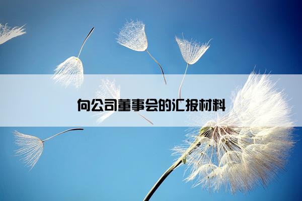 向公司董事会的汇报材料