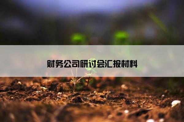 财务公司研讨会汇报材料