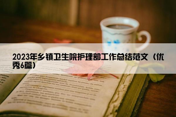 2023年乡镇卫生院护理部工作总结范文（优秀6篇）