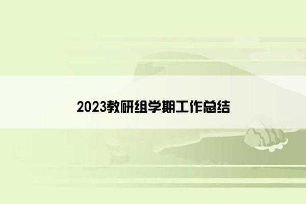 2023教研组学期工作总结