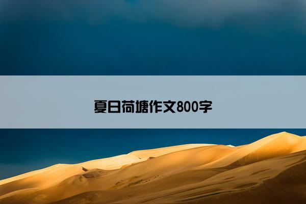 夏日荷塘作文800字