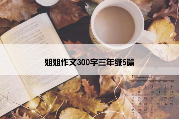 姐姐作文300字三年级5篇