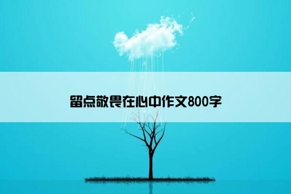 留点敬畏在心中作文800字