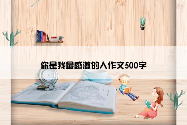 你是我最感激的人作文500字