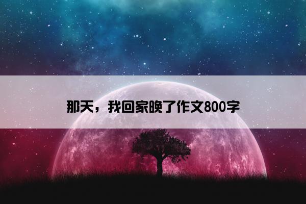 那天，我回家晚了作文800字