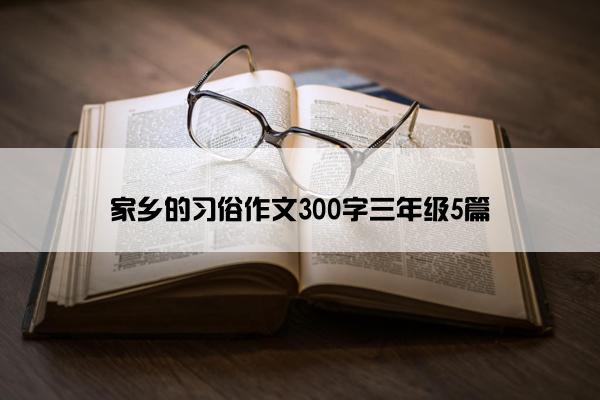 家乡的习俗作文300字三年级5篇