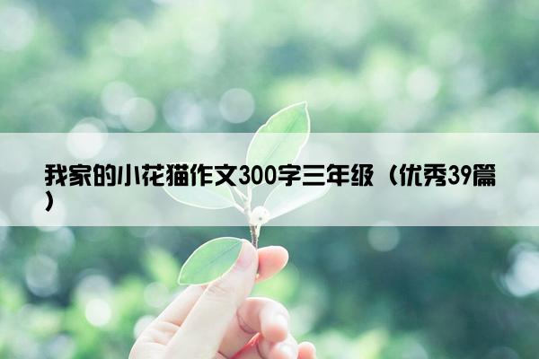 我家的小花猫作文300字三年级（优秀39篇）