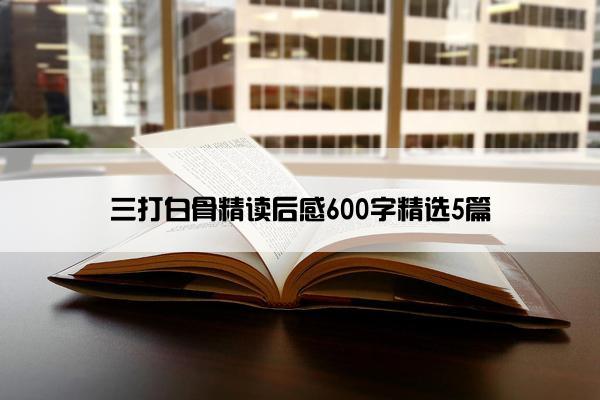 三打白骨精读后感600字精选5篇