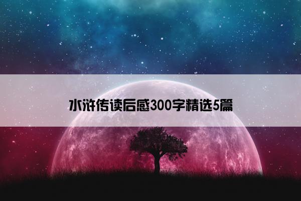 水浒传读后感300字精选5篇