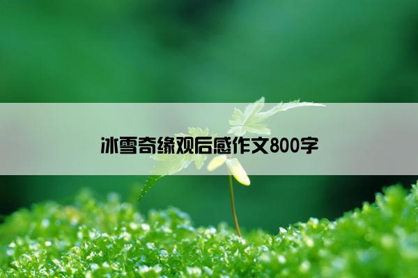 冰雪奇缘观后感作文800字