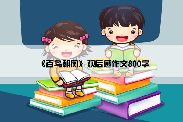 《百鸟朝凤》观后感作文800字