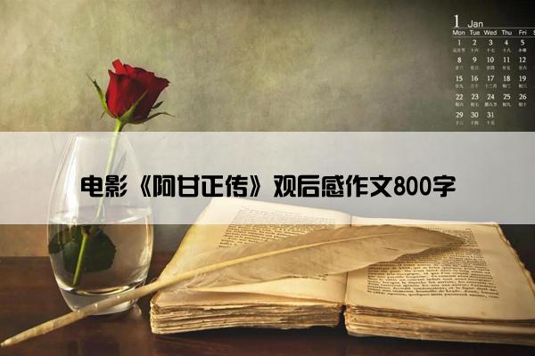 电影《阿甘正传》观后感作文800字