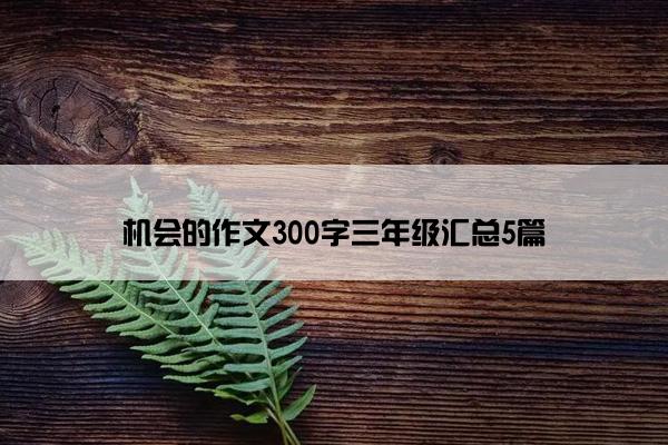 机会的作文300字三年级汇总5篇