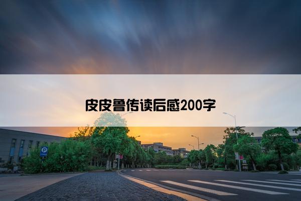 皮皮鲁传读后感200字