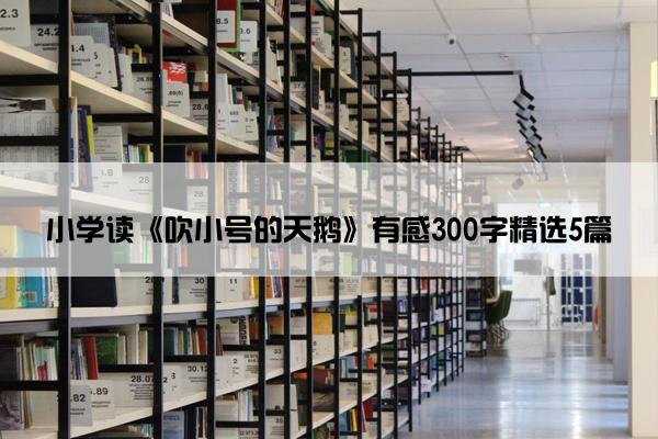 小学读《吹小号的天鹅》有感300字精选5篇